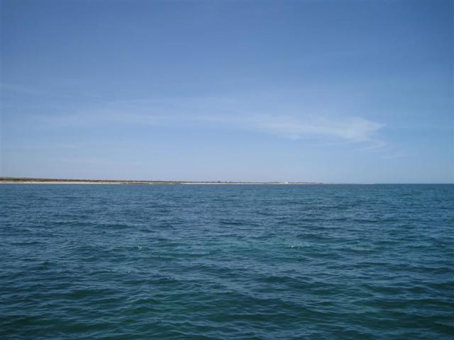 Quick dive window opportunity - Gulf